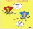 Clique para ver ampliada